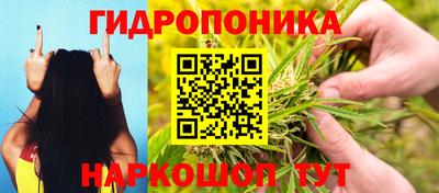 a pvp Камышлов