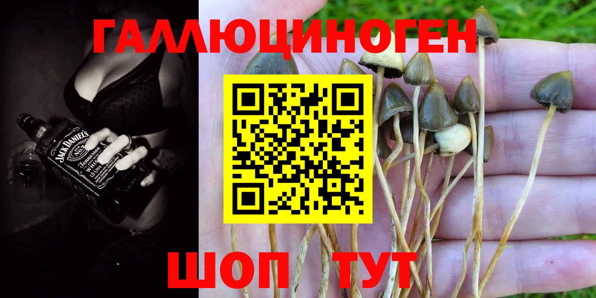Псилоцибиновые грибы мухоморы Аксай